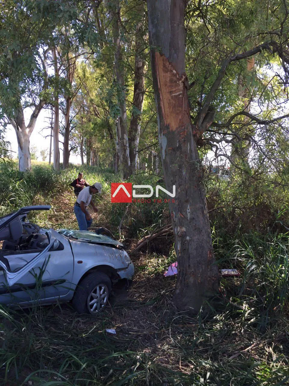 17311233_691430477727125_4437423966863797129_o 