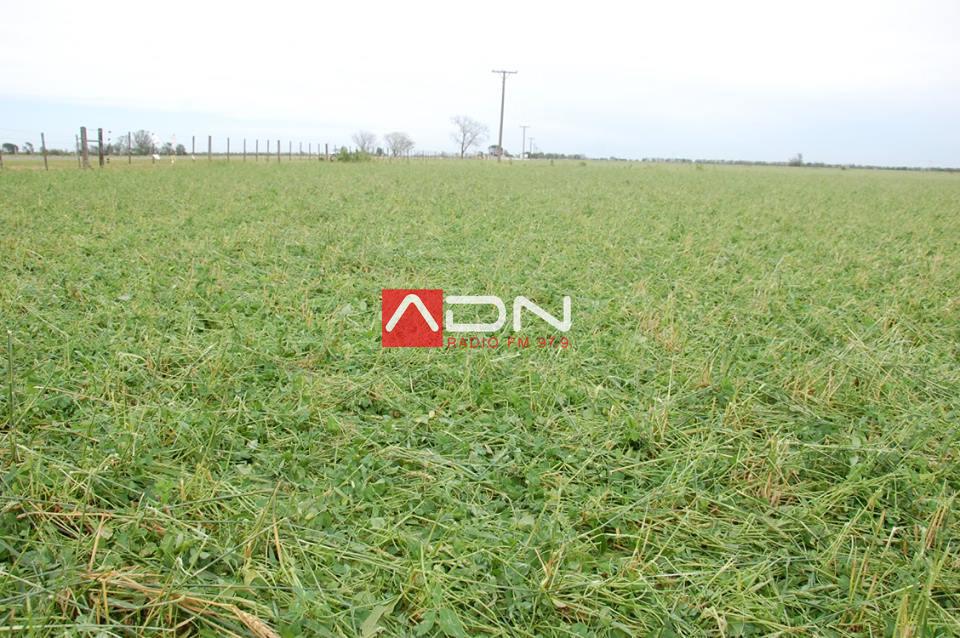Testimonio de productora agropecuaria afectada de manera Testimonio de productora agropecuaria afectada de manera