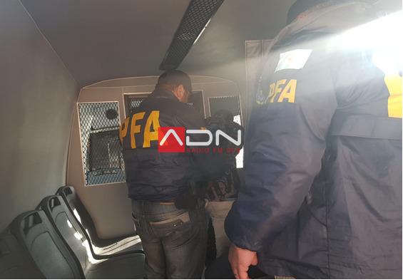 Traslado de los monos Traslado de los monos