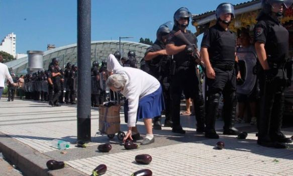 foto_avila_mujer_recoge_berenjenas_verdurazo_bs_as.jpg_745514117