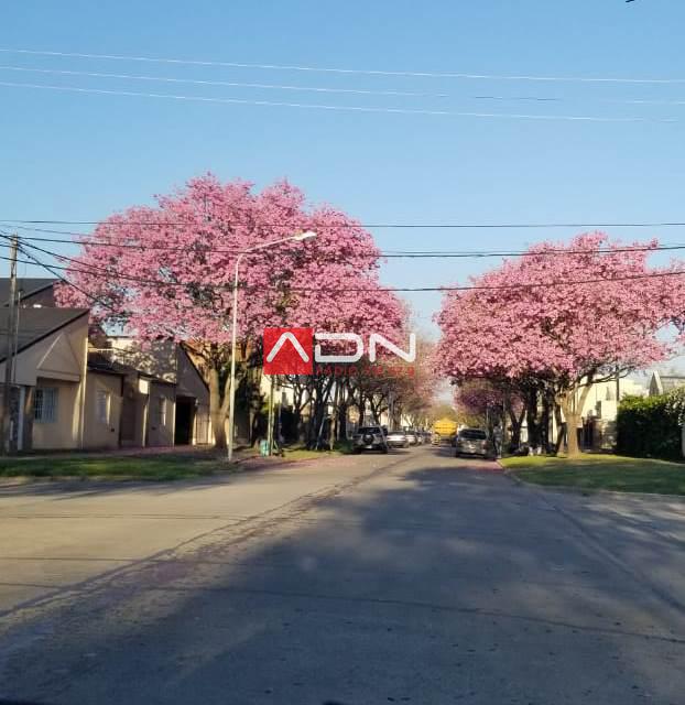Primavera en Rafaela