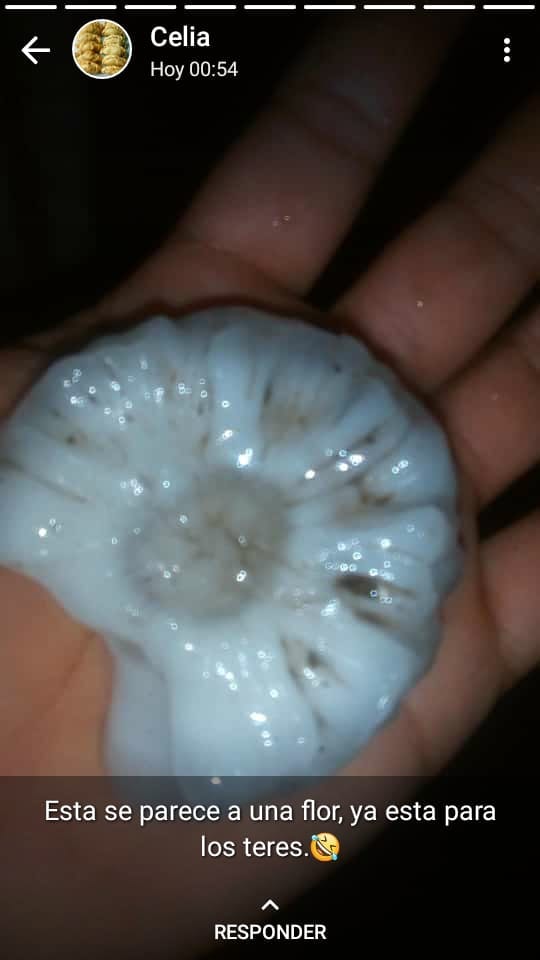 WhatsApp Image 2018-10-09 at 07.30.38