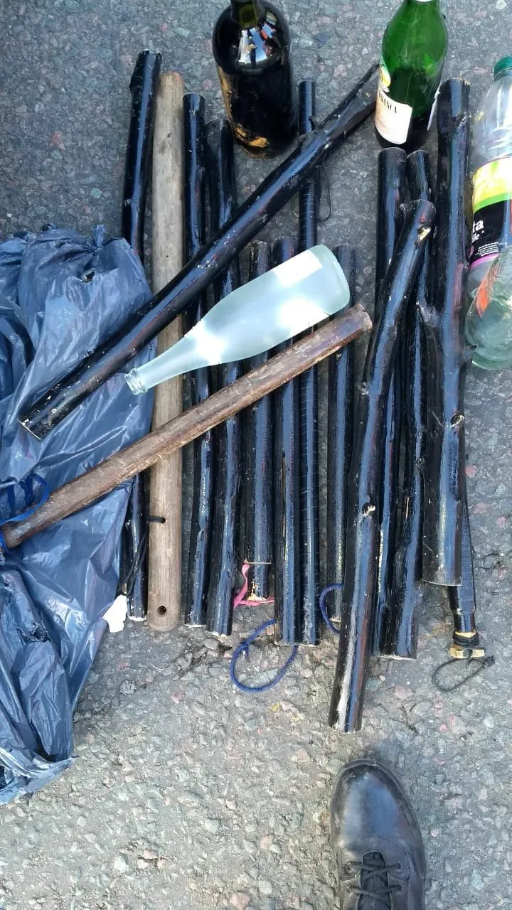 Palos marcha federal+