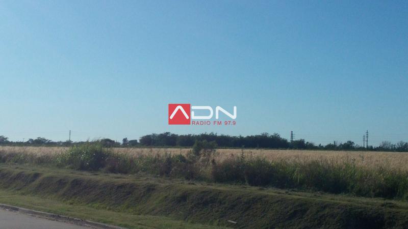 15233750_10210714985767444_2047141871_o 