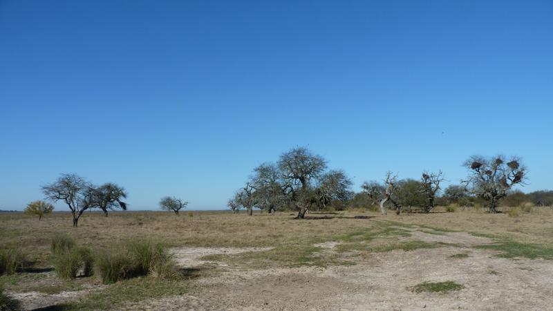 2016-10-06NID_242059O_1