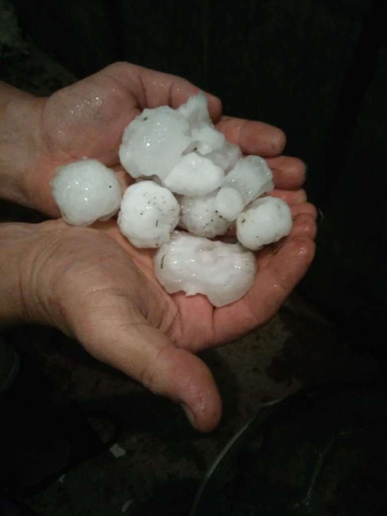 WhatsApp Image 2018-10-09 at 07.30.51