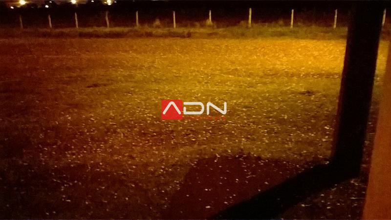 56730426-7997-4937-941d-29208c640b62