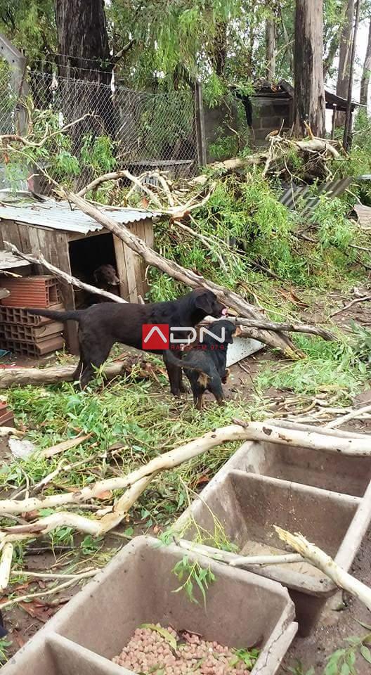 16105637_659381304265376_7217438146411011166_n 