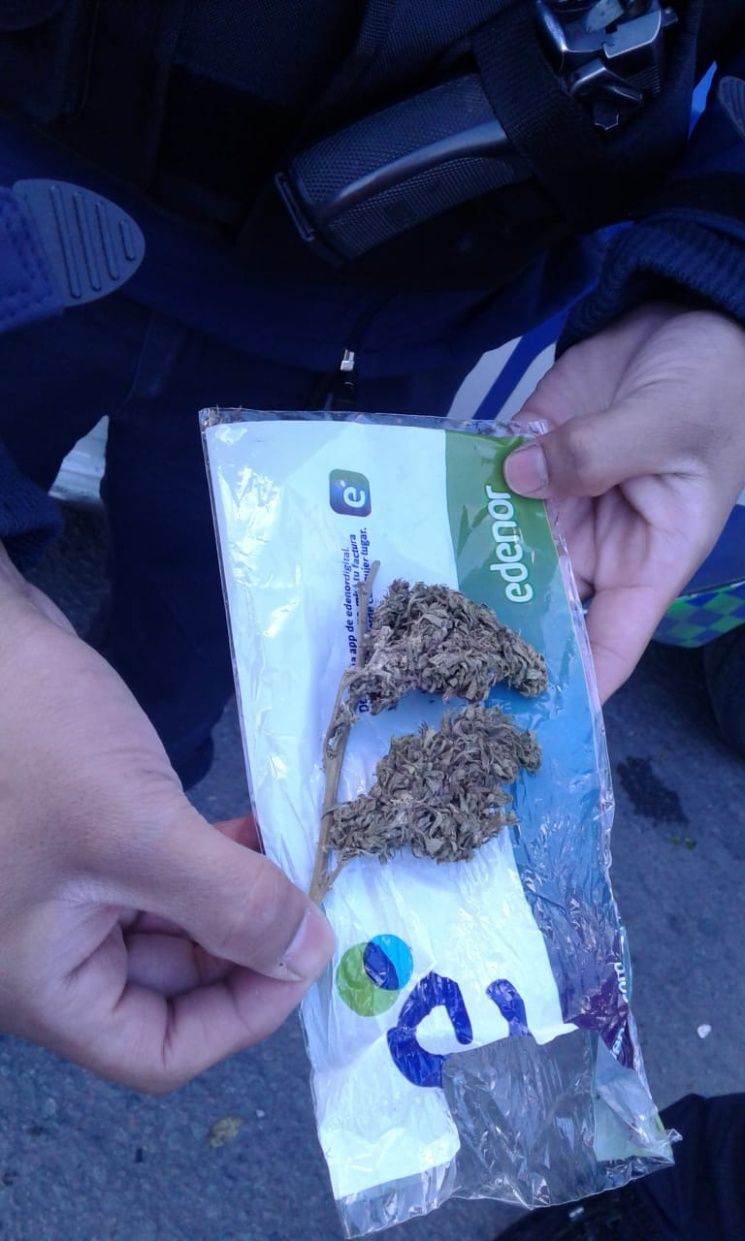 Marihuana Marcha federal