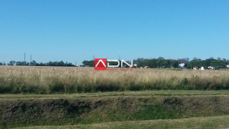 15216235_10210714986247456_777817278_o 