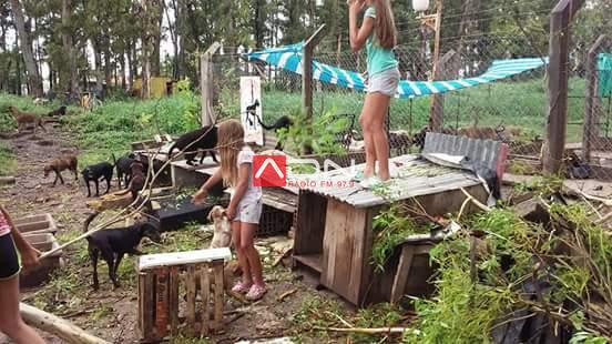 15977971_659381000932073_7670647447218340582_n 