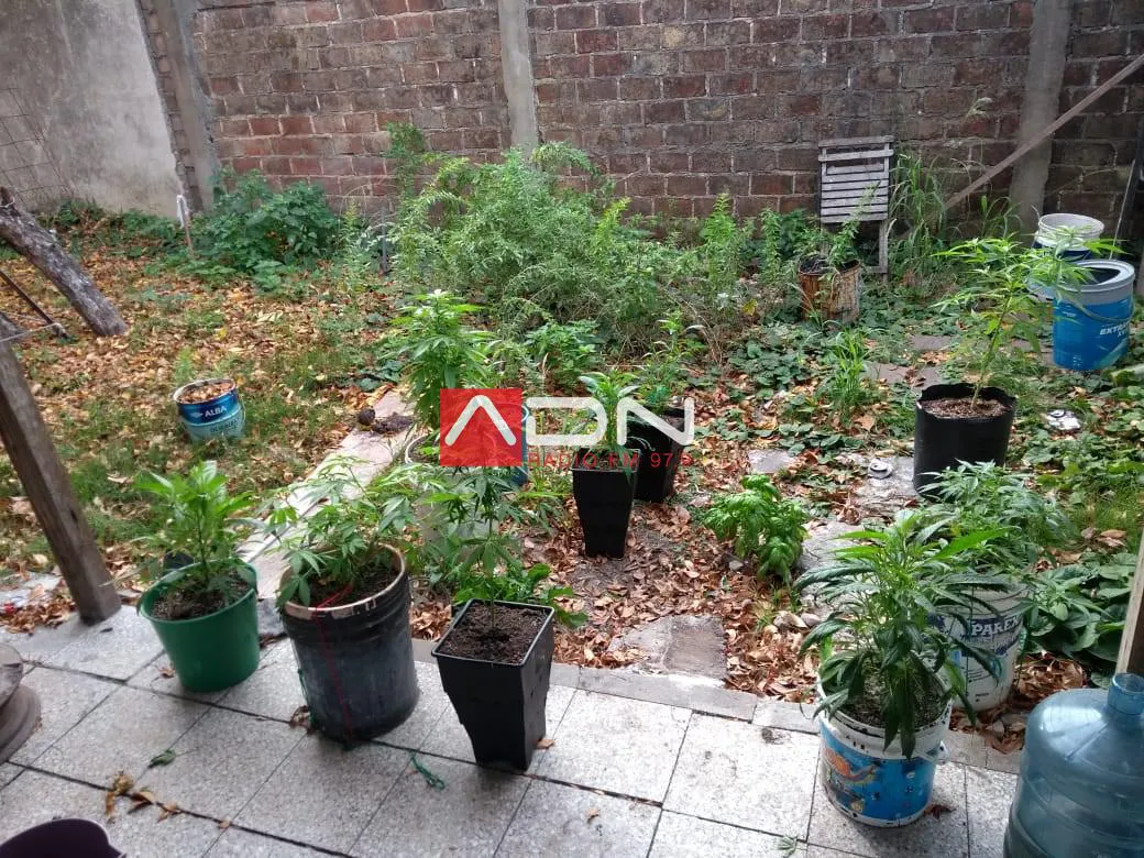 red narco en Santa Fe 1