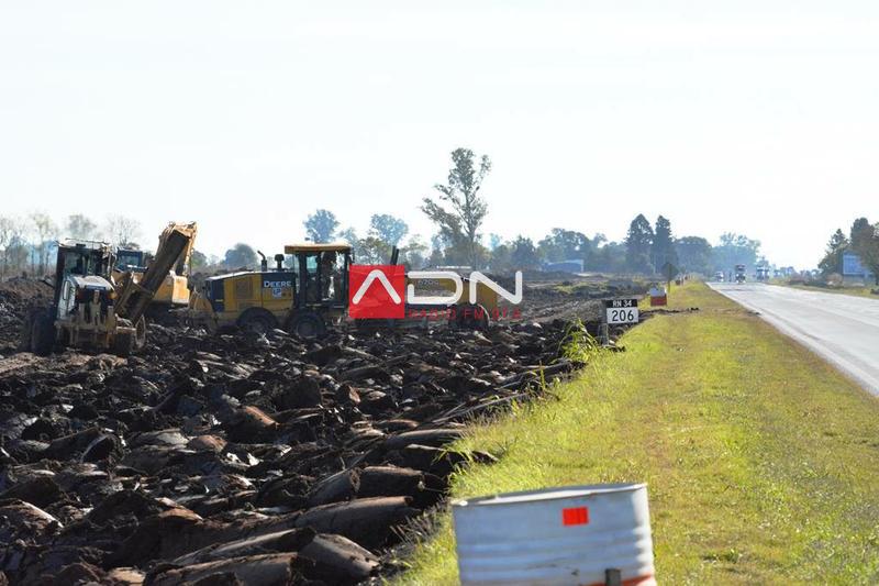 13220591_10209424123351175_1203964279094655260_o