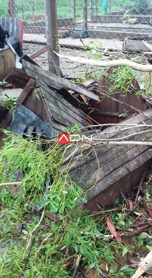 15941335_659381100932063_9016405380015925565_n 