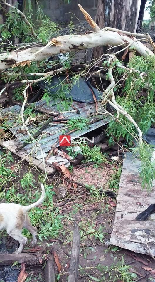 15977618_659381060932067_2162473884787214899_n 