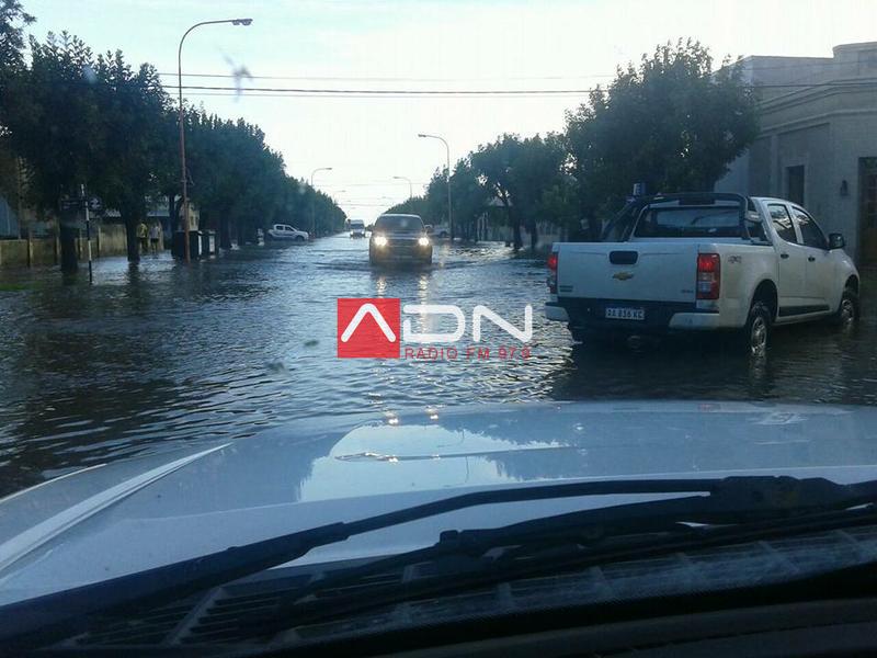 15822746_1354827821229018_1447873987433073173_n 