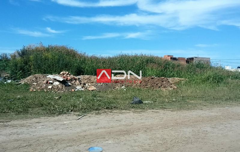 15146909_10210640928956070_2014649043_o 