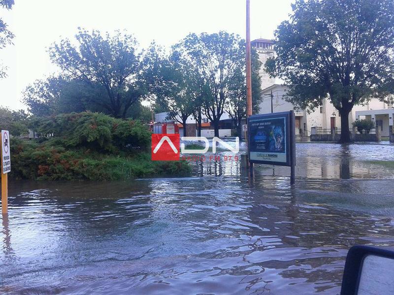 15781046_1354827861229014_8660940442192155153_n 