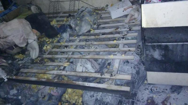 13315333_1207542005942689_1271608131050483439_n