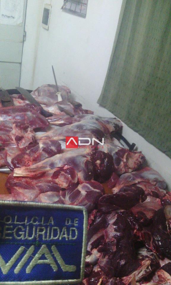 13939427_1220862511289344_6740657579700300950_n