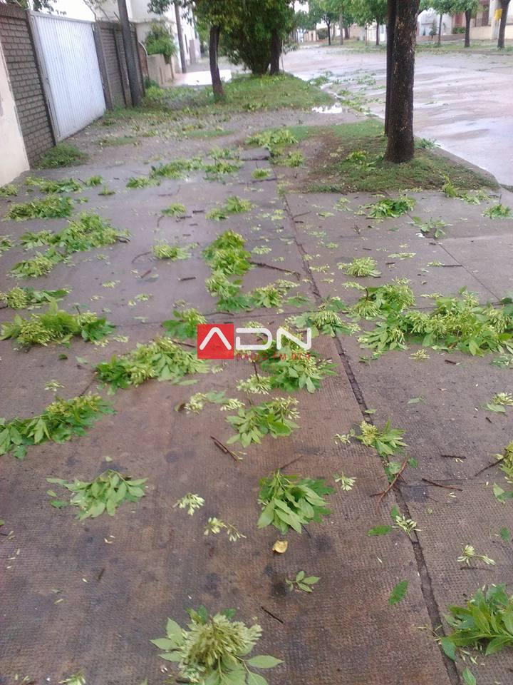 gent-rita-sommavilla