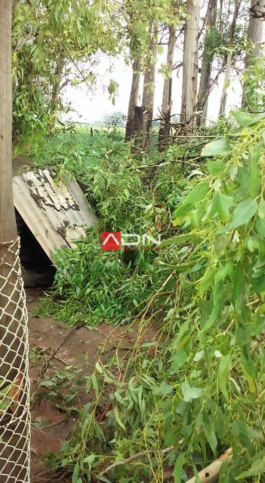 15940664_659380970932076_1155507536310663152_n 