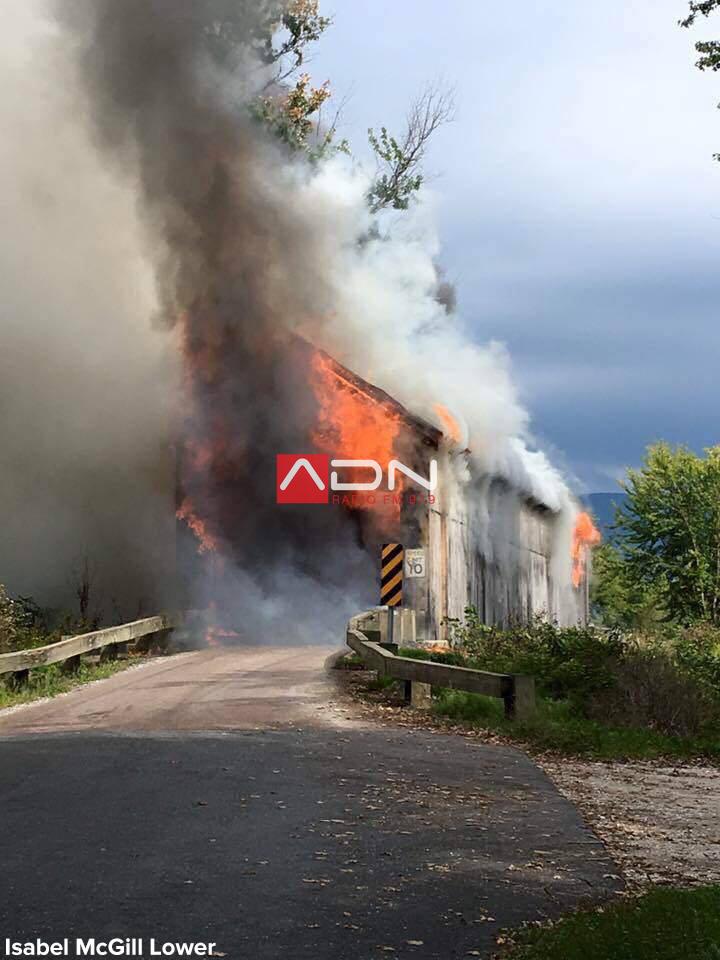 14263981_10154779853338812_2289425101162305040_n 14263981_10154779853338812_2289425101162305040_n