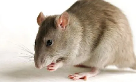 5dafef8f-452c-459b-b0e4-330b19a69490