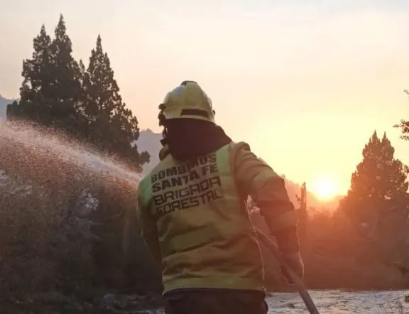 WhatsApp Image 2025-02-12 at 5.06.05 PM