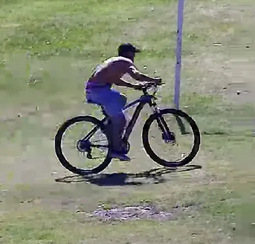 robo bici