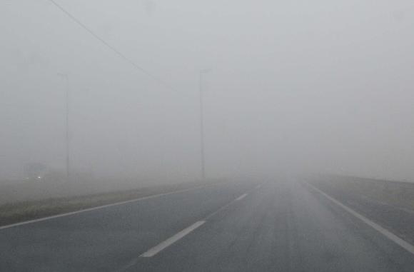NIEBLA-1720