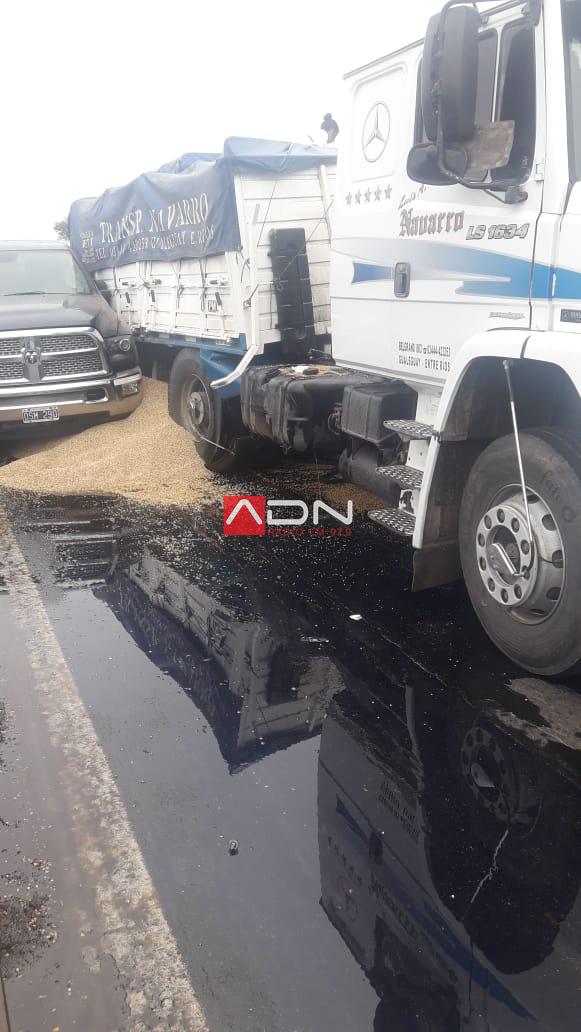 WhatsApp Image 2019-06-14 at 10.44.51