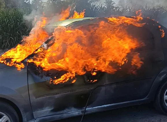 Captura de pantalla 2026-01-20 171451