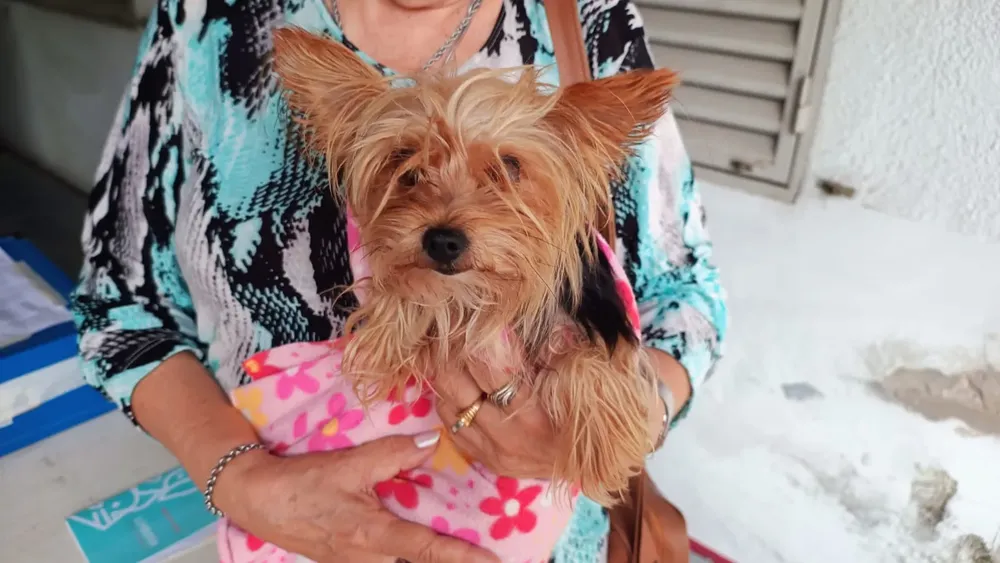 WhatsApp Image 2026-04-04 at 16.03.16