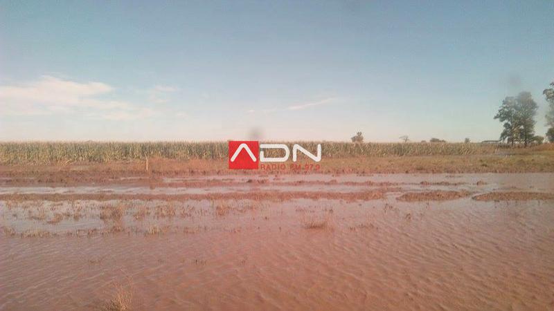 13076833_1180625688667886_1135766809779450845_n