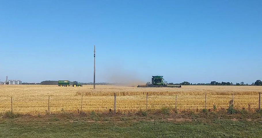 Captura de pantalla 2025-11-19 174414