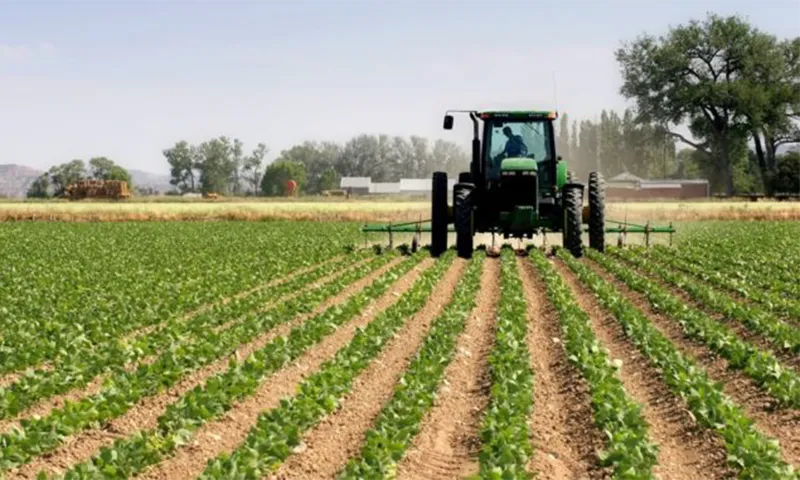 Productor-agropecuario