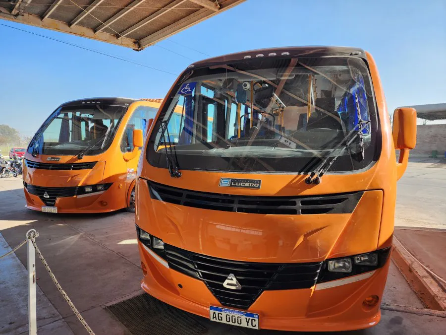 colectivos