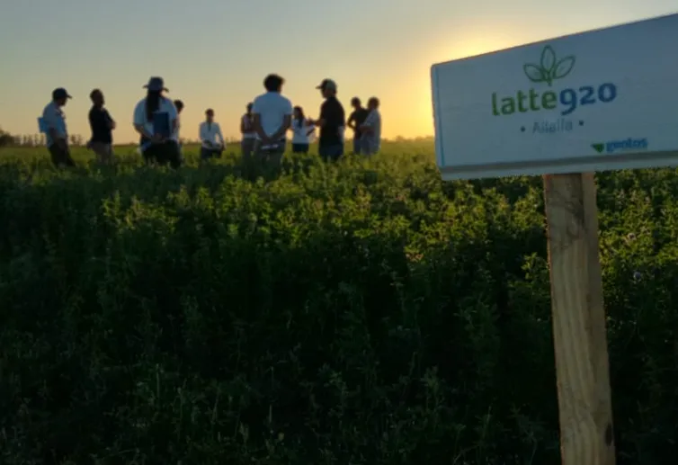 Captura de pantalla 2025-11-11 161616