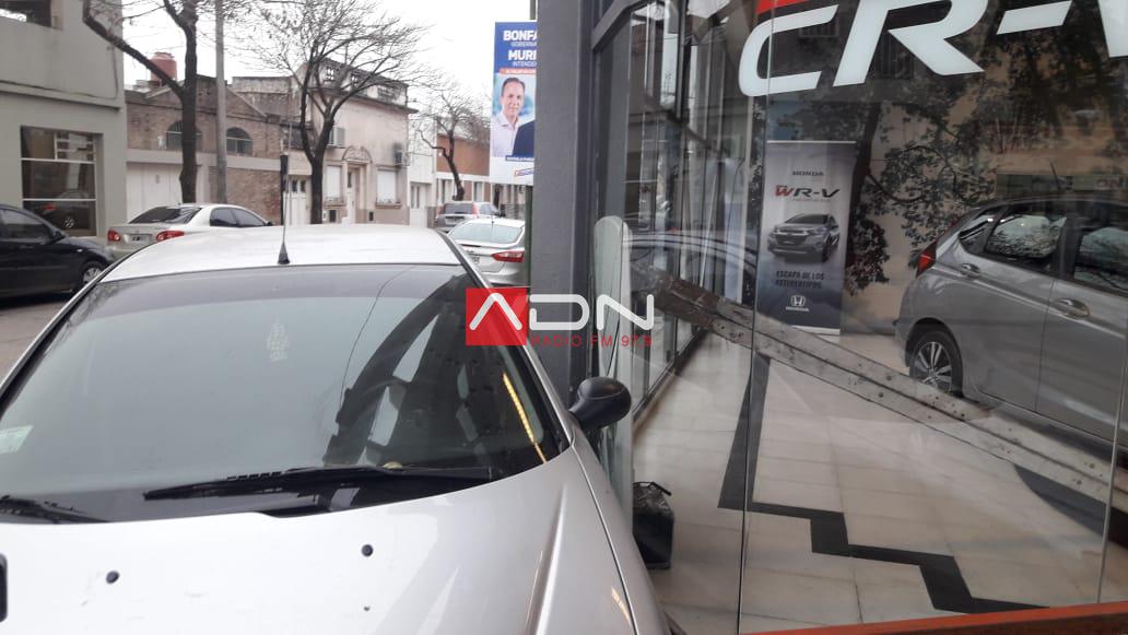 WhatsApp Image 2019-06-14 at 09.04.12