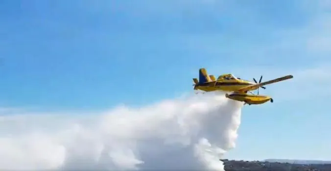 s_eda729faa54592a3585c9b405