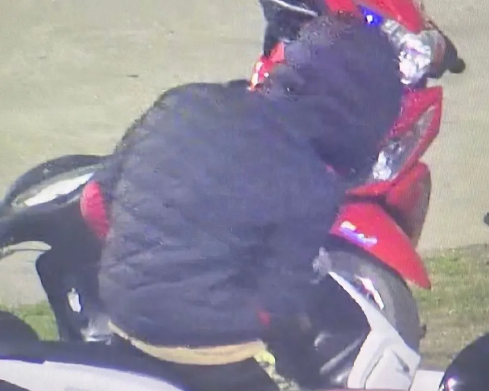 Captura de pantalla 2024-07-27 095350