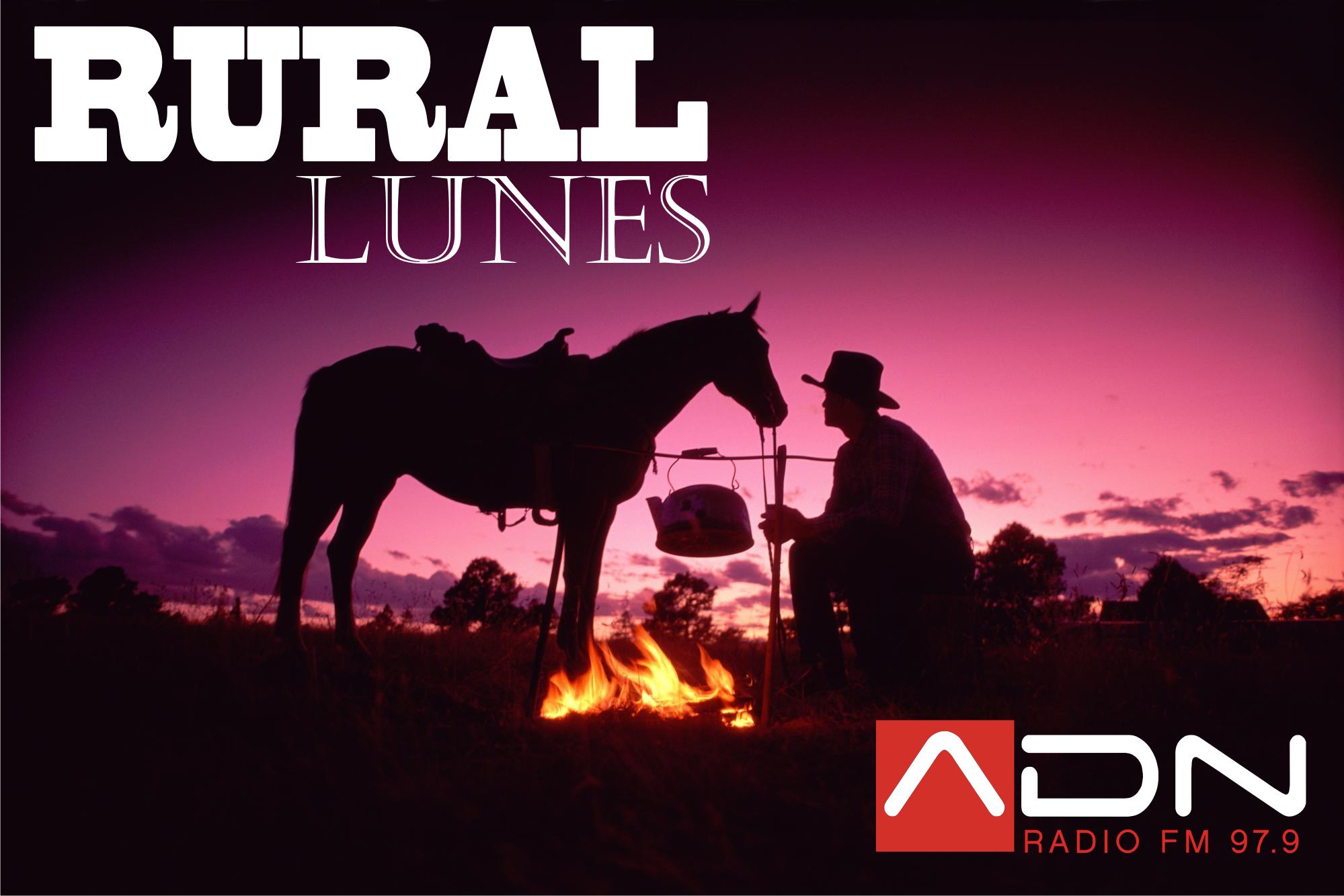 Micro ADN Rural - Lunes - 09/03/2015