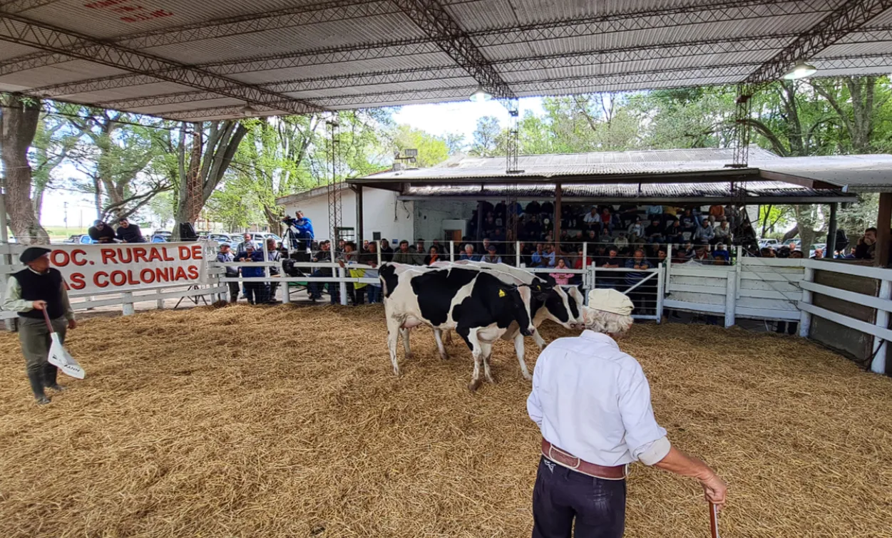 Captura de pantalla 2025-01-03 075921