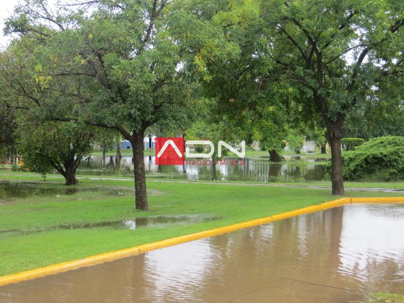 15 (Calle y plaza de Ramona) 030117