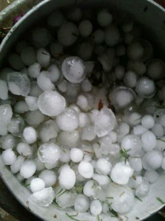 12046644_1650202648571933_5807396147630765014_n