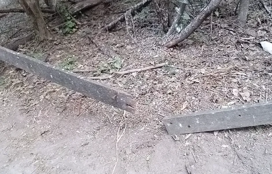 Captura de pantalla 2024-09-23 193644