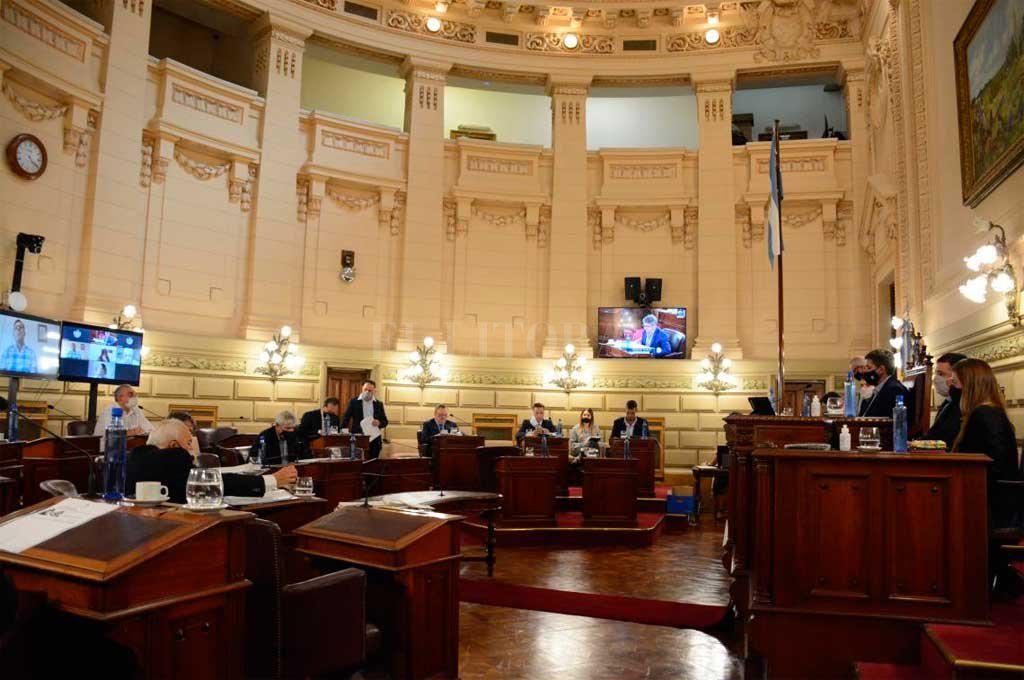 Senado