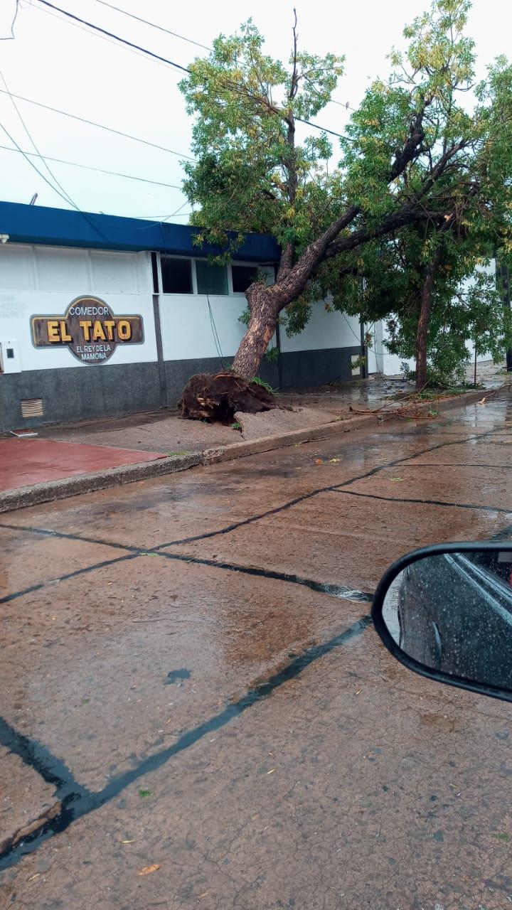 una de las