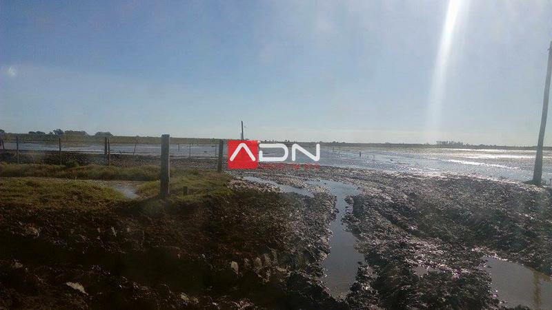 13095781_1180626165334505_8297907520101824516_n